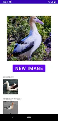 Bird Identifier android App screenshot 2