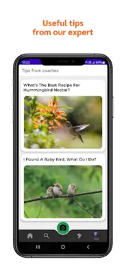 Bird Identifier android App screenshot 4