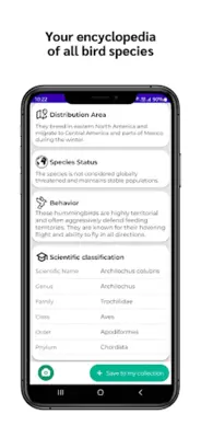 Bird Identifier android App screenshot 6