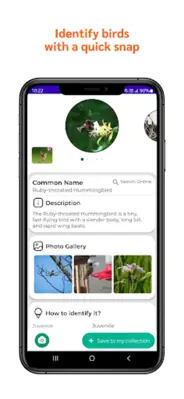 Bird Identifier android App screenshot 8